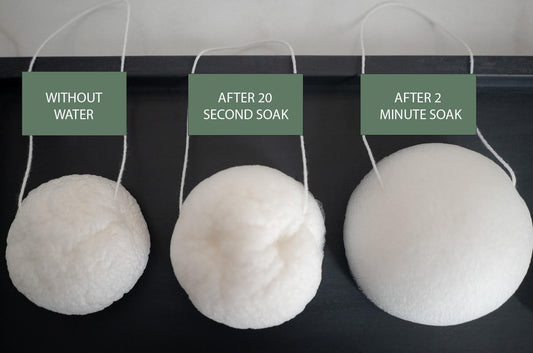 LUNA Facial Sponge - White - No Tox Life®