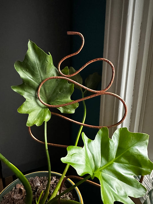 Plant Trellis - Leaves and Snake styles