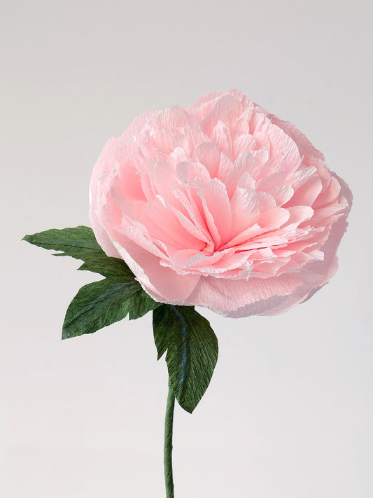 Garden Peony Single Stem | Handcrafted Paper Flower