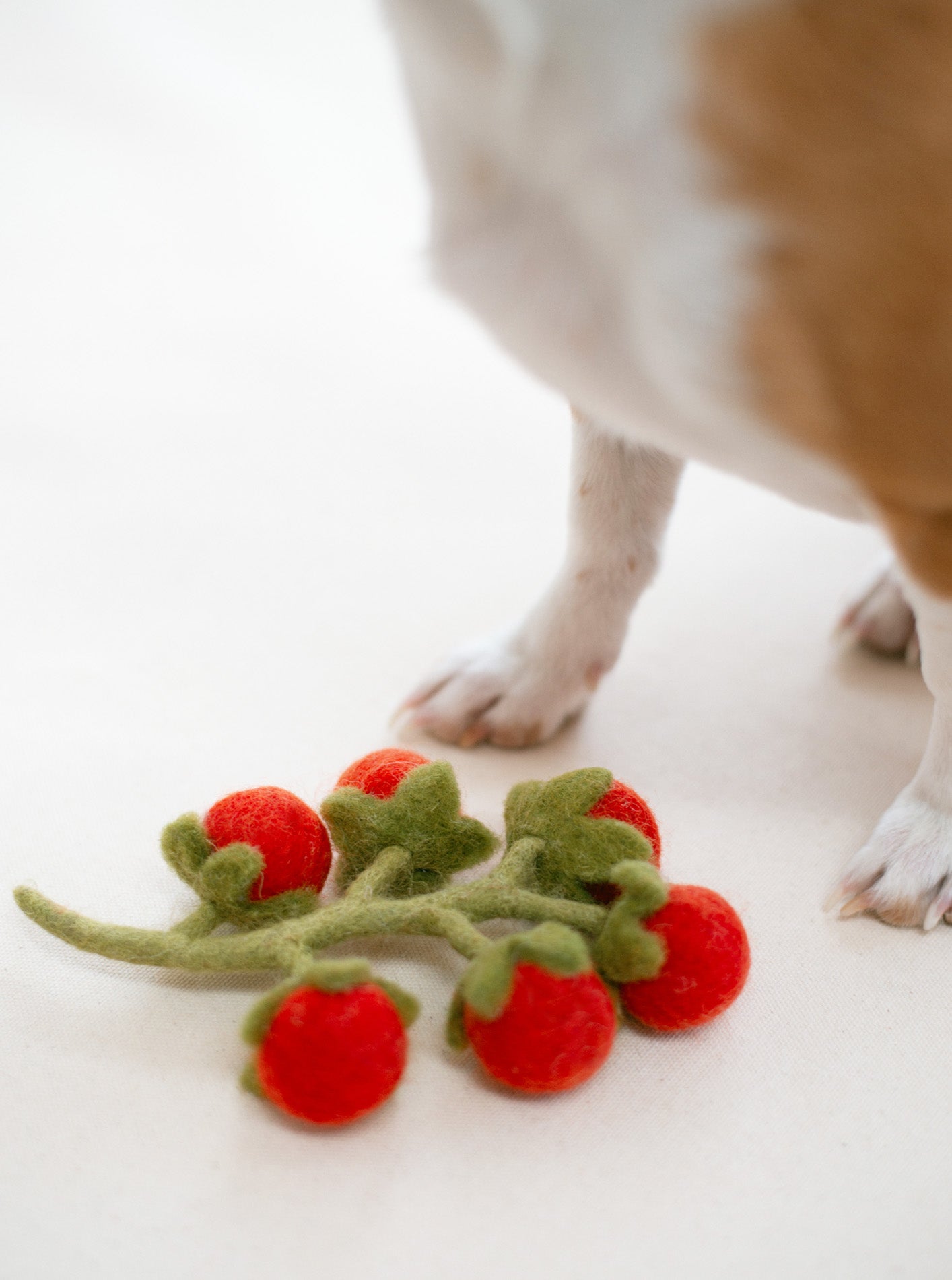 CHERRY TOMATO VINE WOOL DOG & CAT TOY