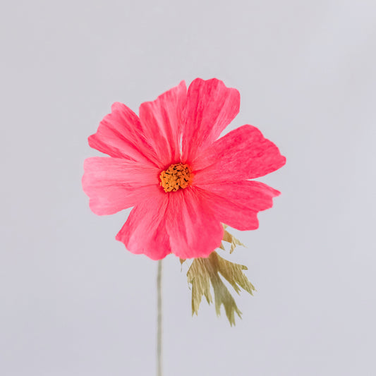 Cosmos Single Stem | Handcrafted Paper Wildflower