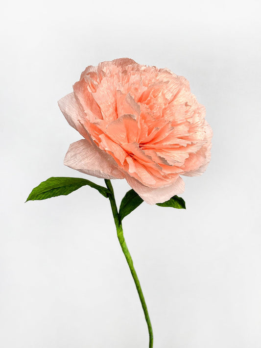Carnation Single Stem | Handcrafted Paper Flower