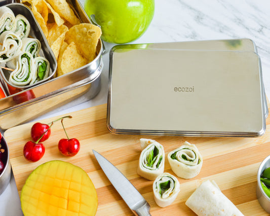 Stainless Steel Freezer PACKS FOR LUNCH Boxes and Lunch Bags, 2 Pack