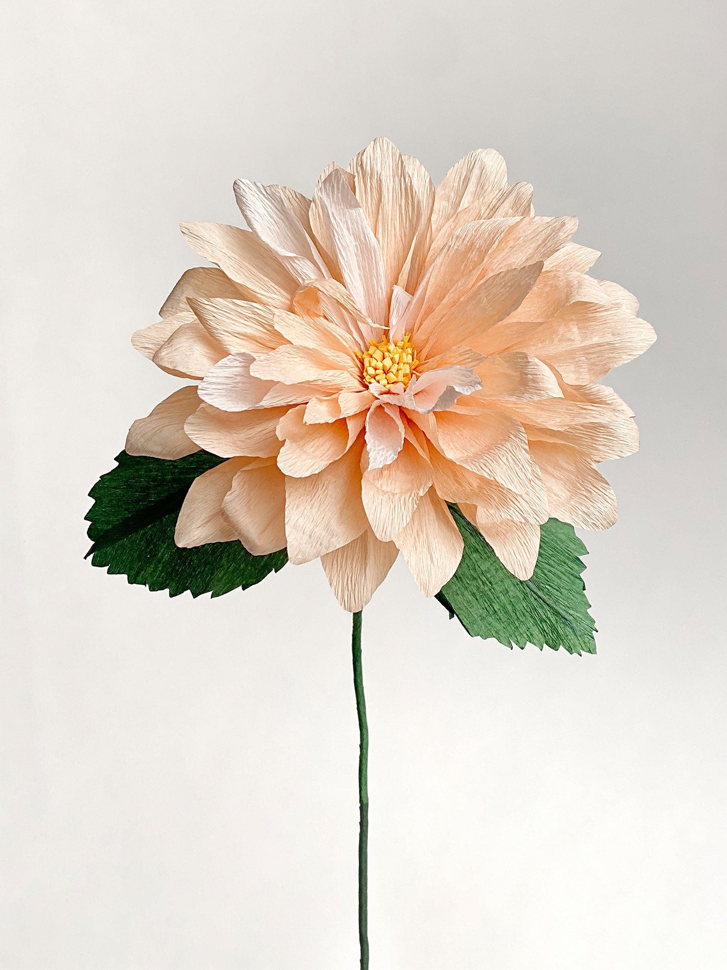 Dahlia Single Stem | Handcrafted Paper Flower