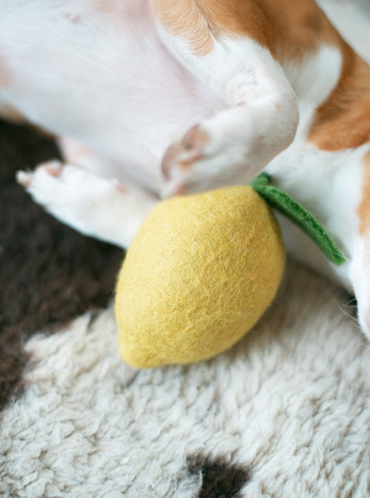 LEMON WOOL DOG & CAT TOY