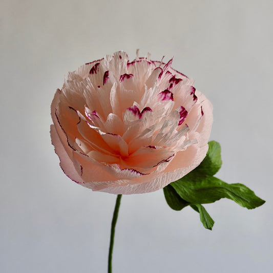 Hand Painted Garden Peony Single Bloom, Limited Edition | Paper Peony Stem