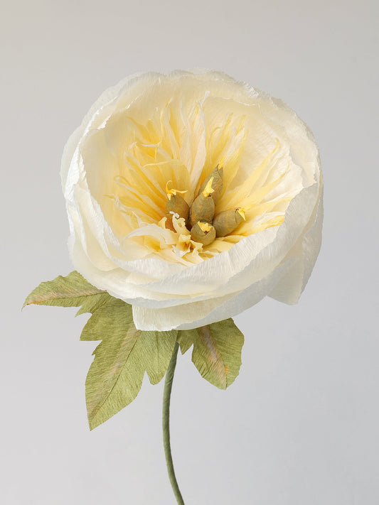 Bowl Peony Single Stem | Handcrafted Paper Flower