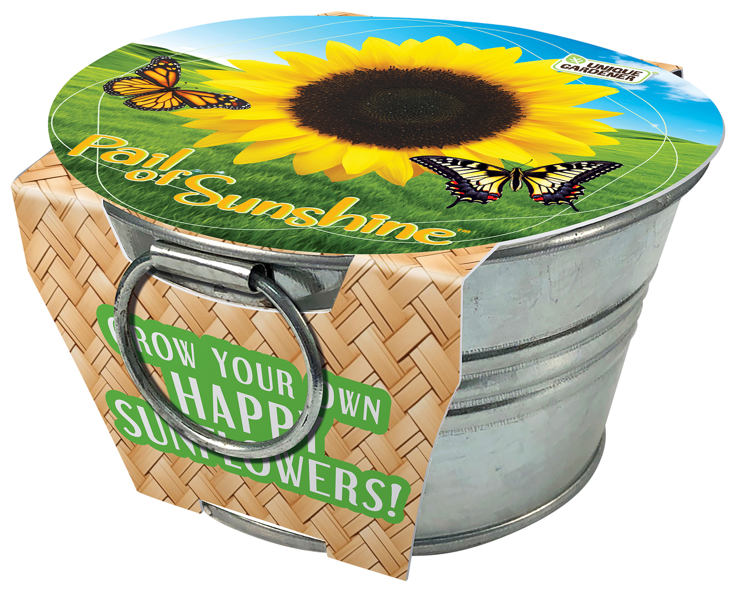 Pail of Sunshine - Grow Your Own Sunflowers Multipack of 3
