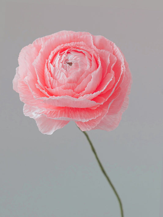 Ranunculus Single Stem | Paper Flower Decor