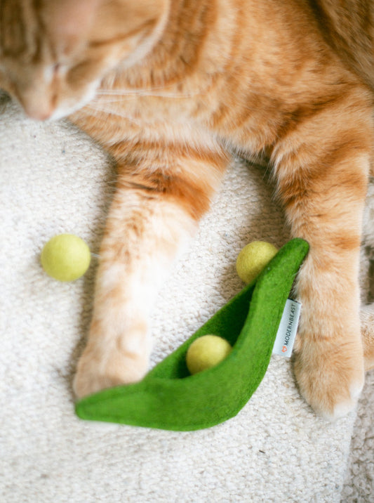 PEA POD WOOL CAT TOY