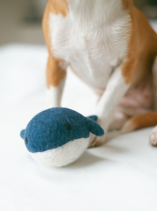 WHALE WOOL DOG TOY