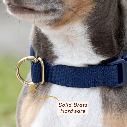 Pack Collar