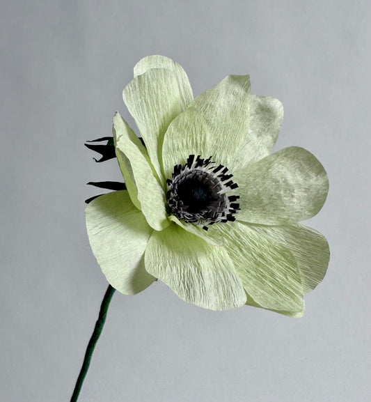 Anemone Single Stem | Handcrafted Paper Flower
