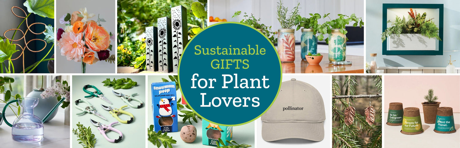 Sustainable Gifts For Plant Lovers
