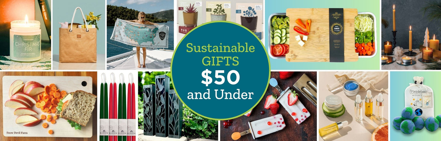 Sustainable Gifts $50 and Under