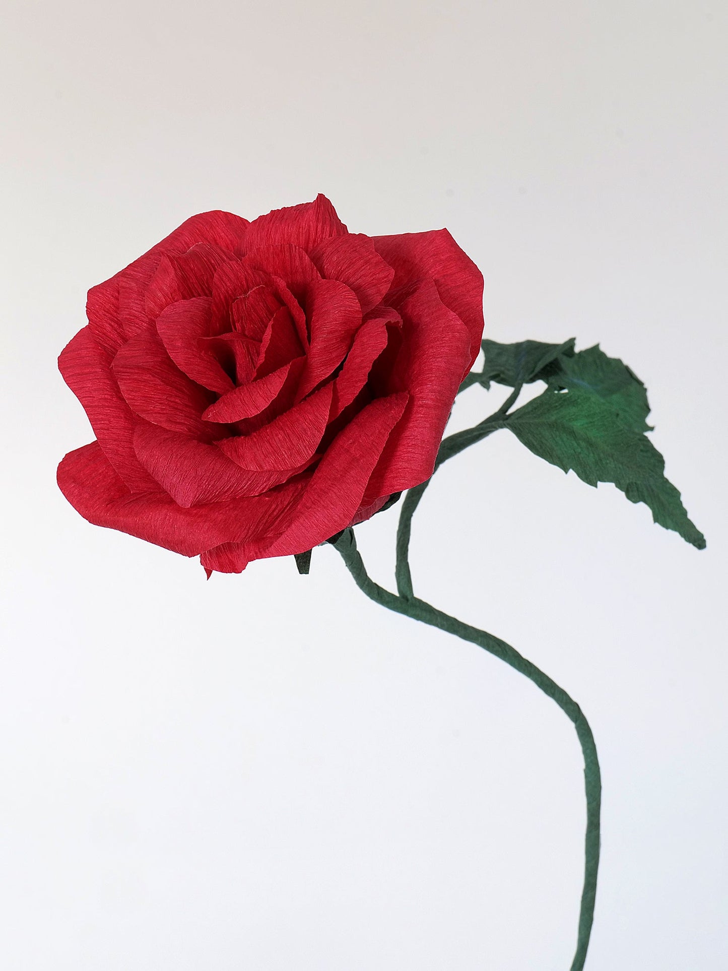 Classic Rose | Paper Flower Stem
