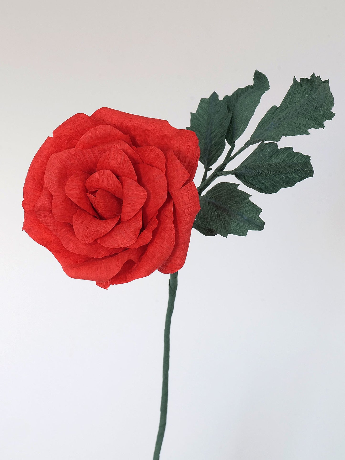 Classic Rose | Paper Flower Stem