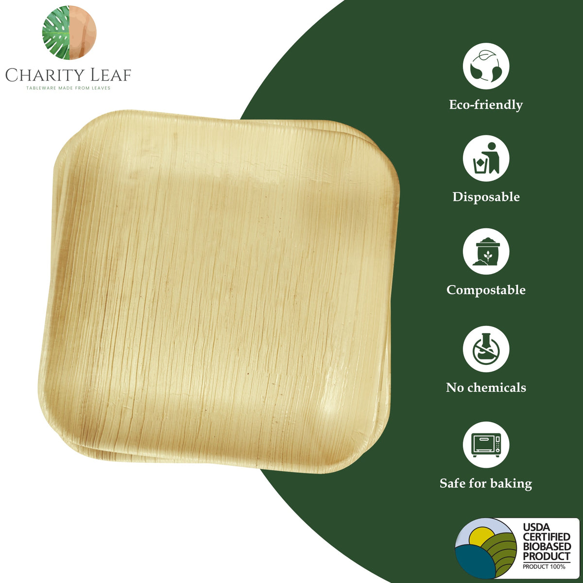 9" Inch Square Natural Compostable Bamboo Plate