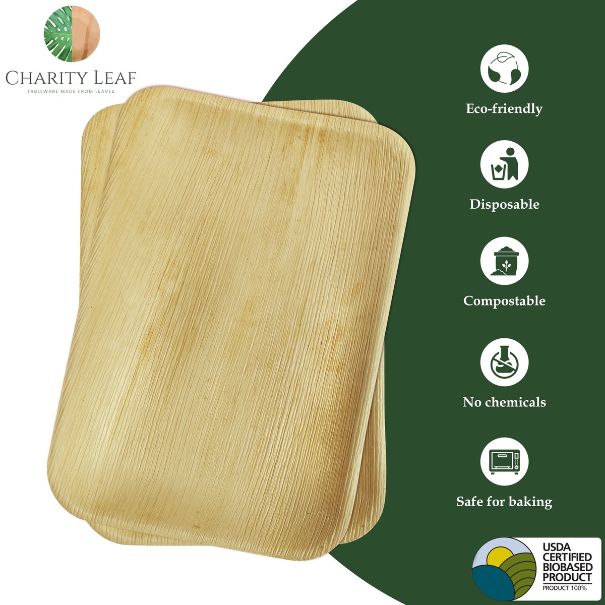 9" x 6" Inch Rectangle Natural Compostable Bamboo Tray