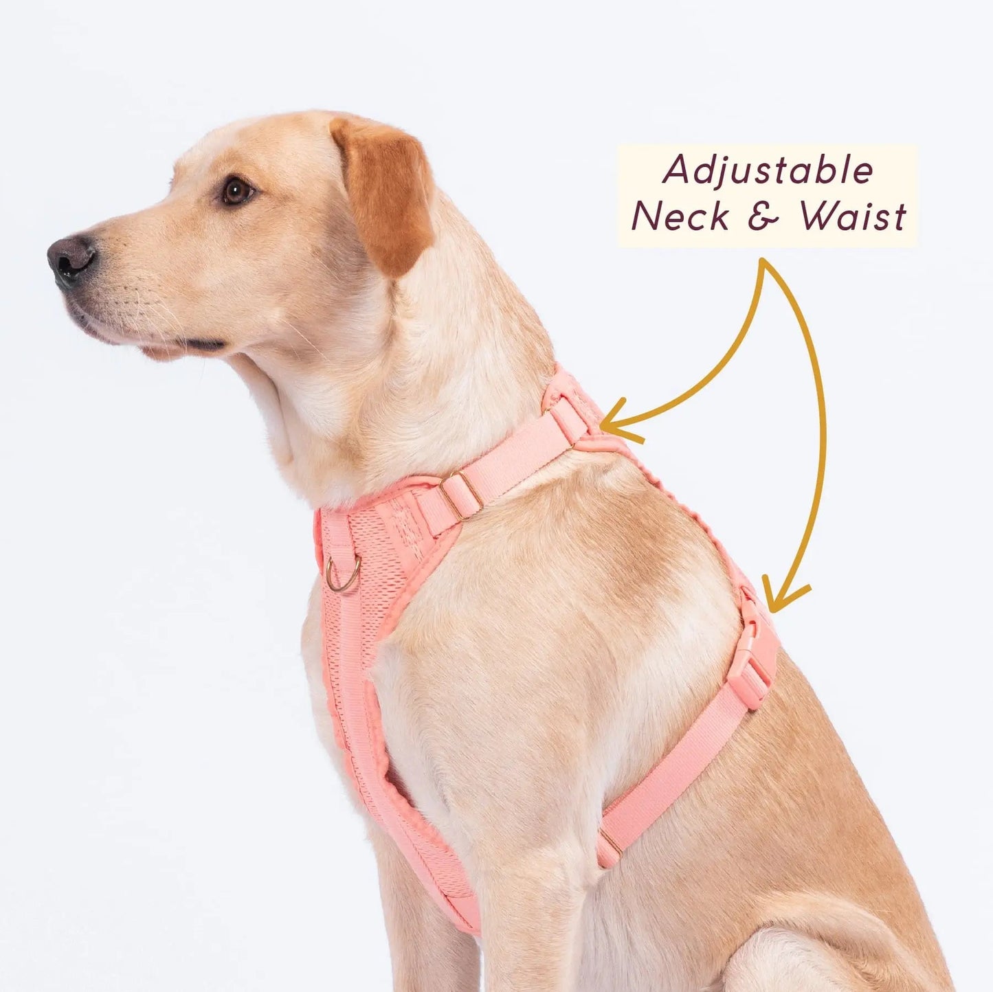 Huggie Harness - Last Chance