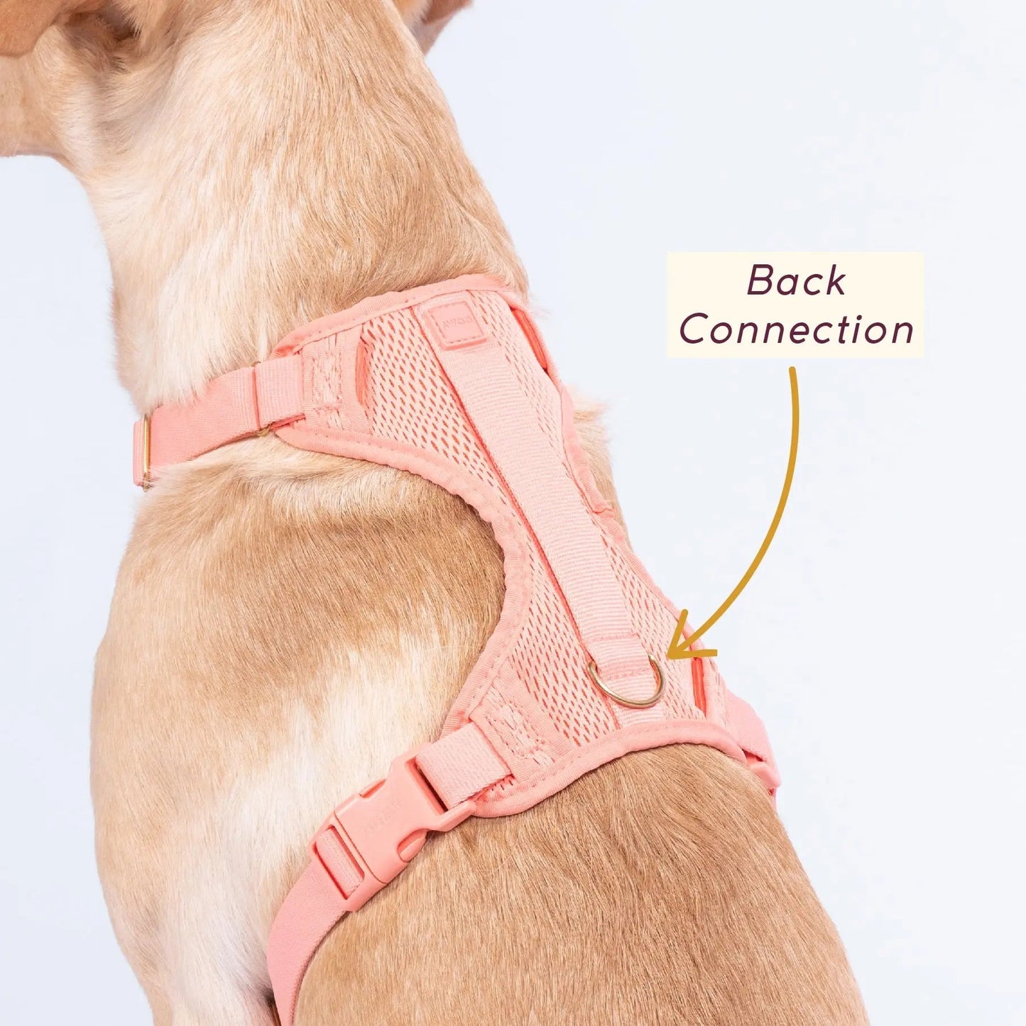 Huggie Harness - Last Chance