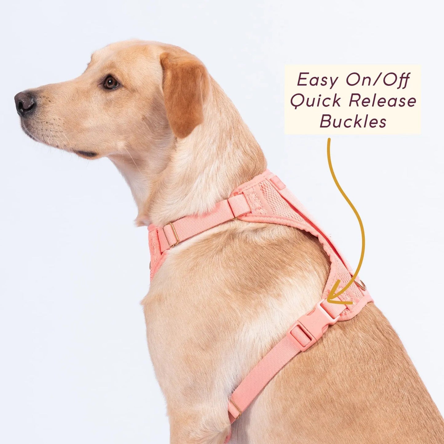 Huggie Harness - Last Chance