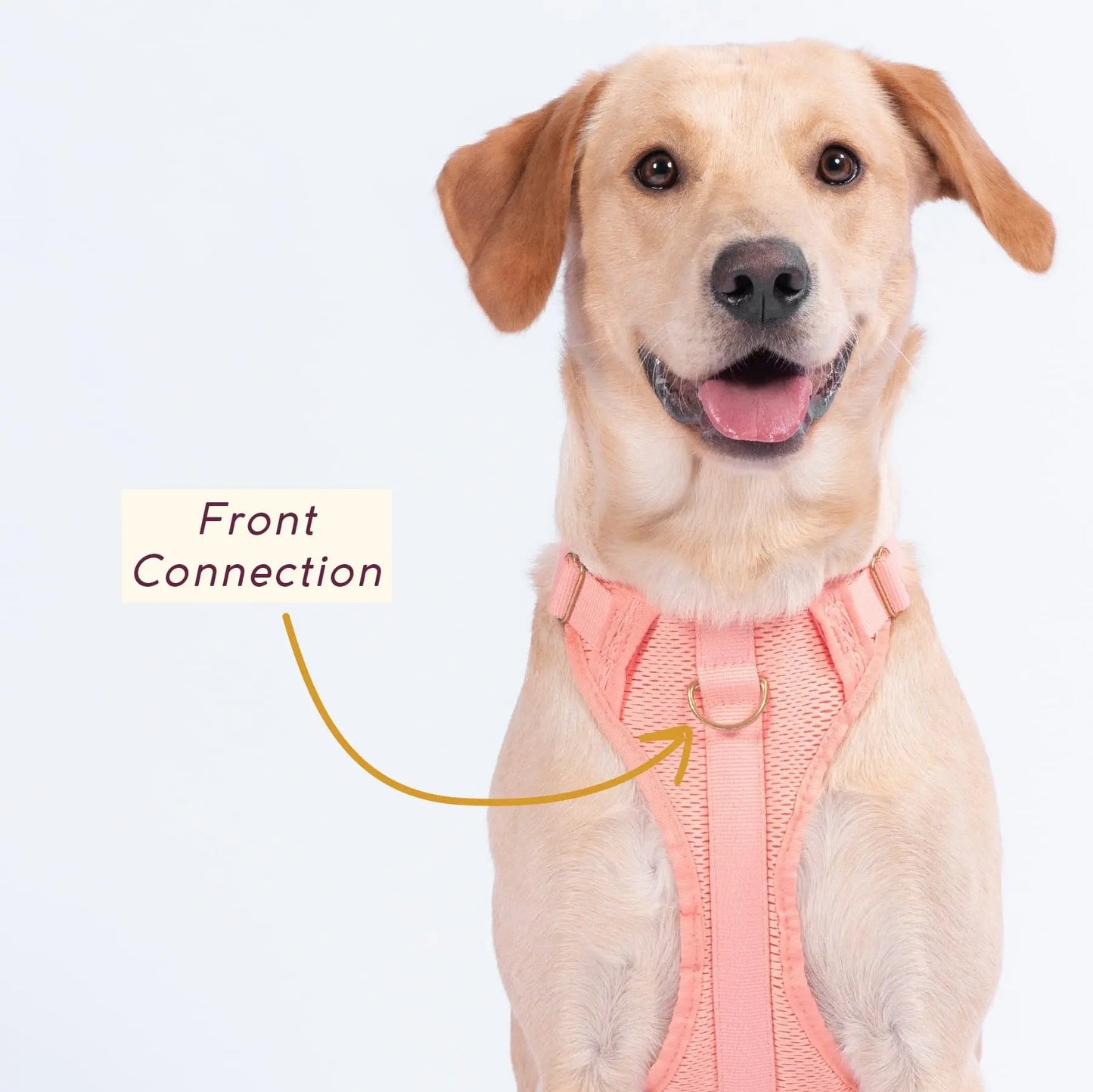 Huggie Harness - Last Chance