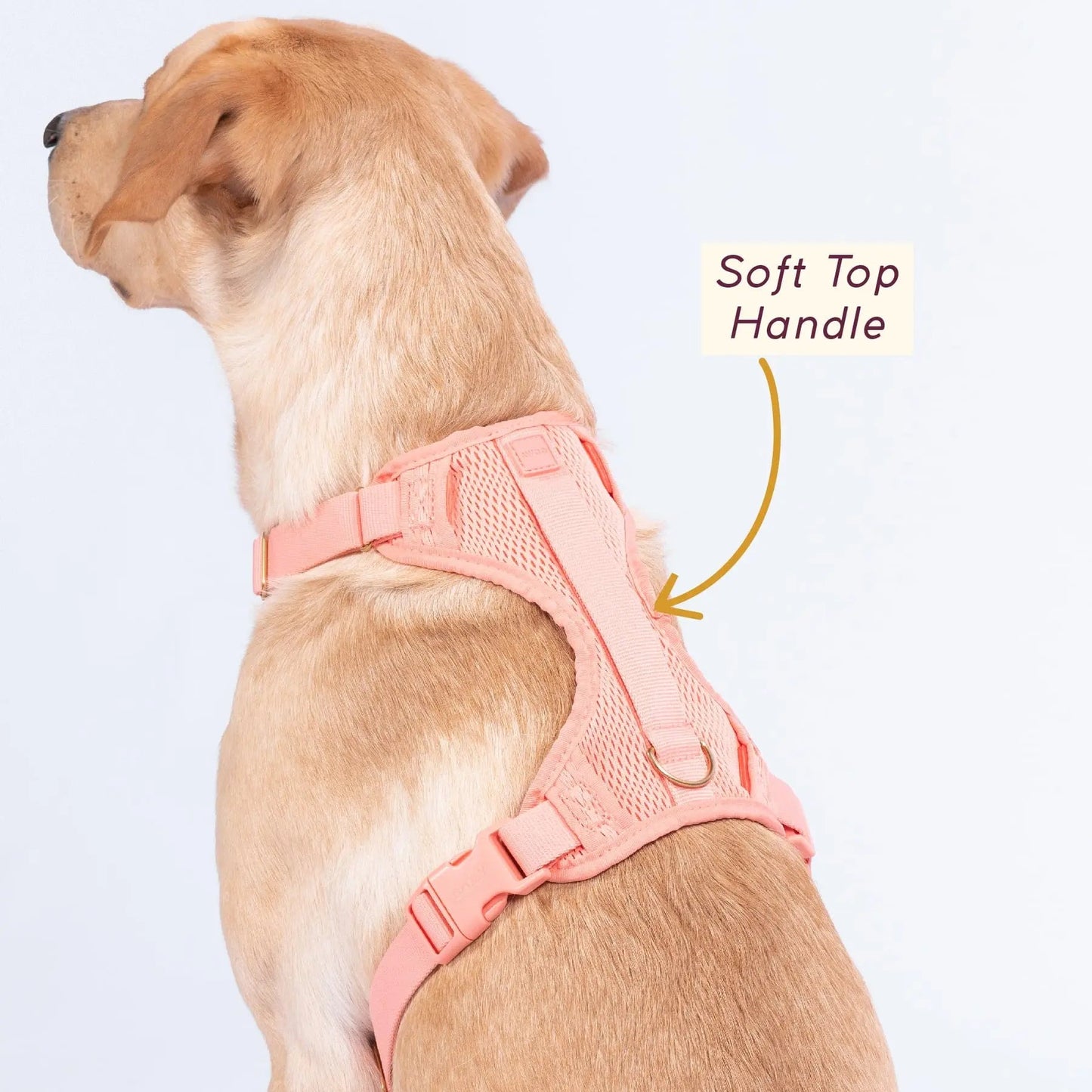 Huggie Harness - Last Chance