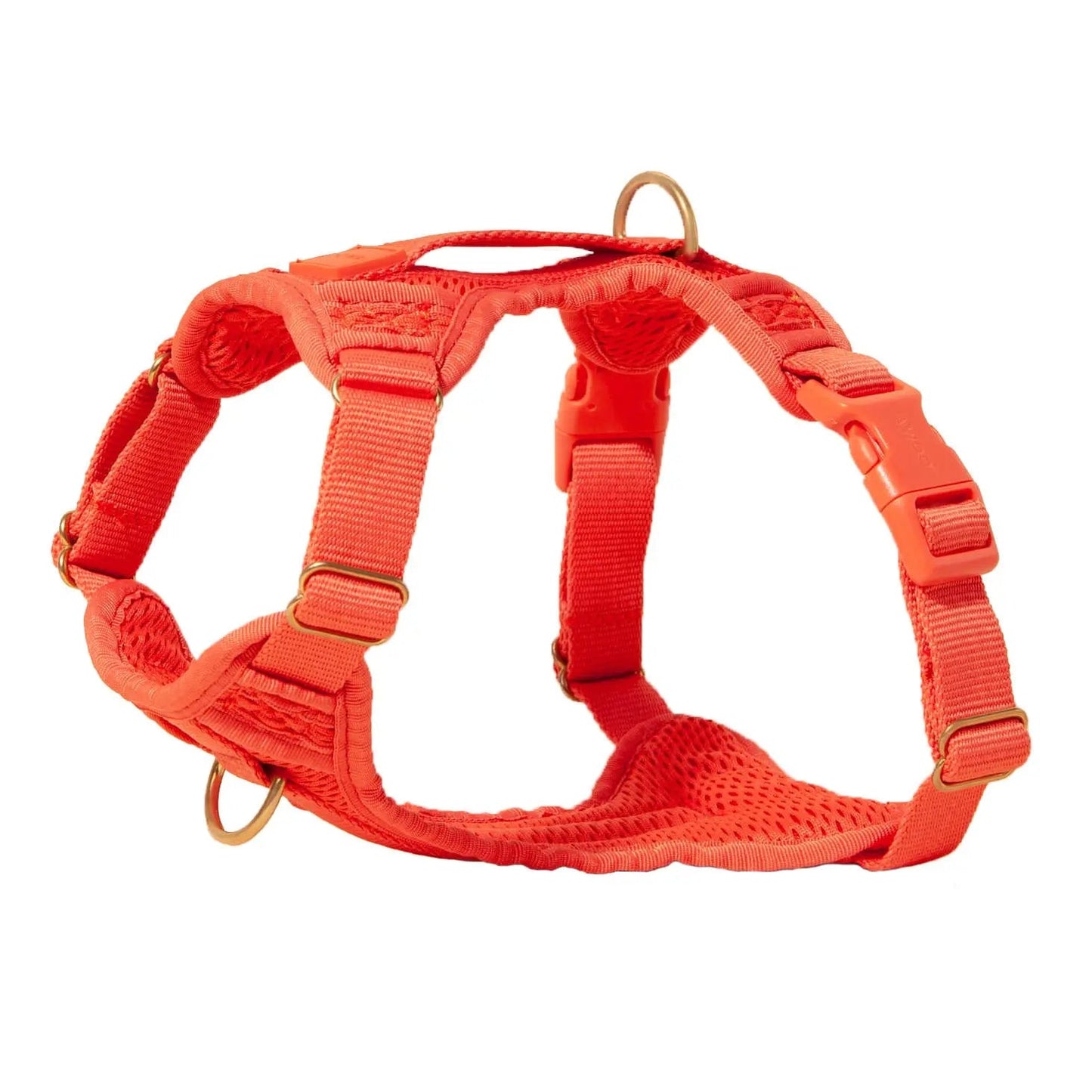 Huggie Harness - Last Chance