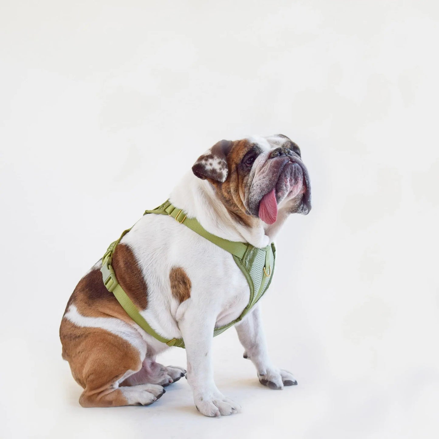 Huggie Harness - Last Chance