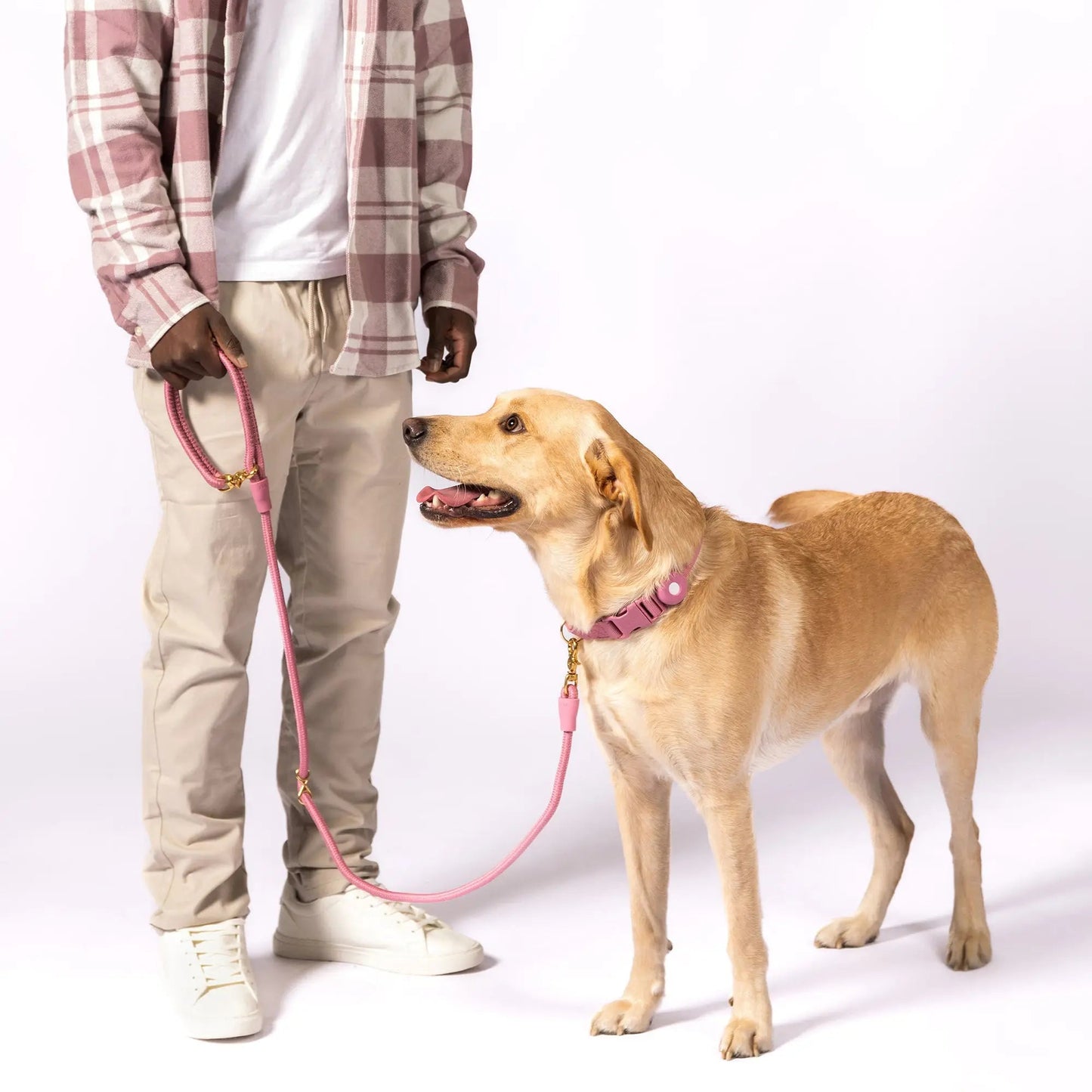 City Leash