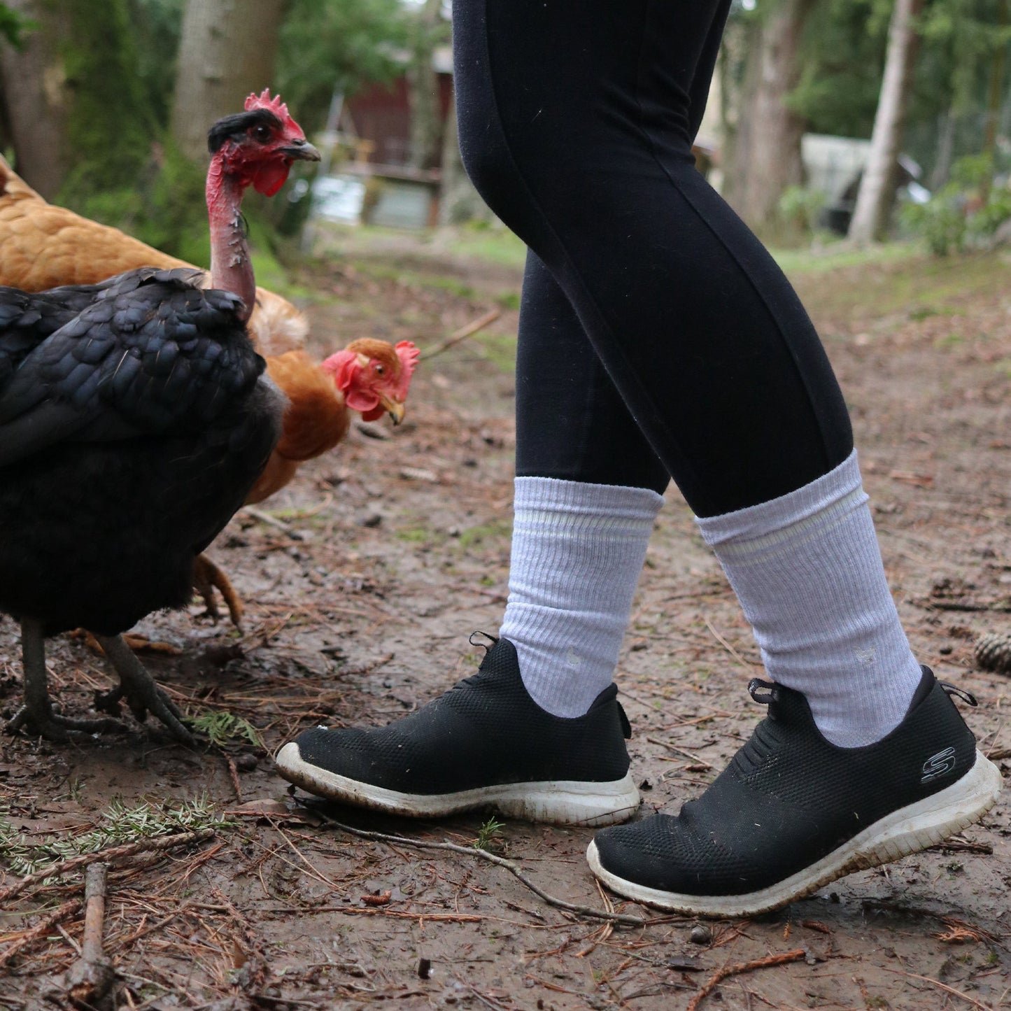 Comfort Crew Socks that Save Farm Animals