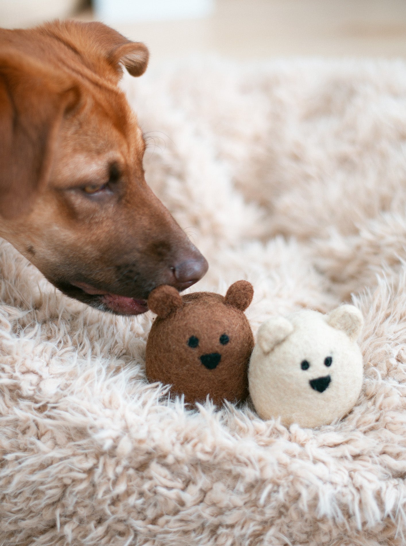 POLAR BEAR WOOL DOG TOY