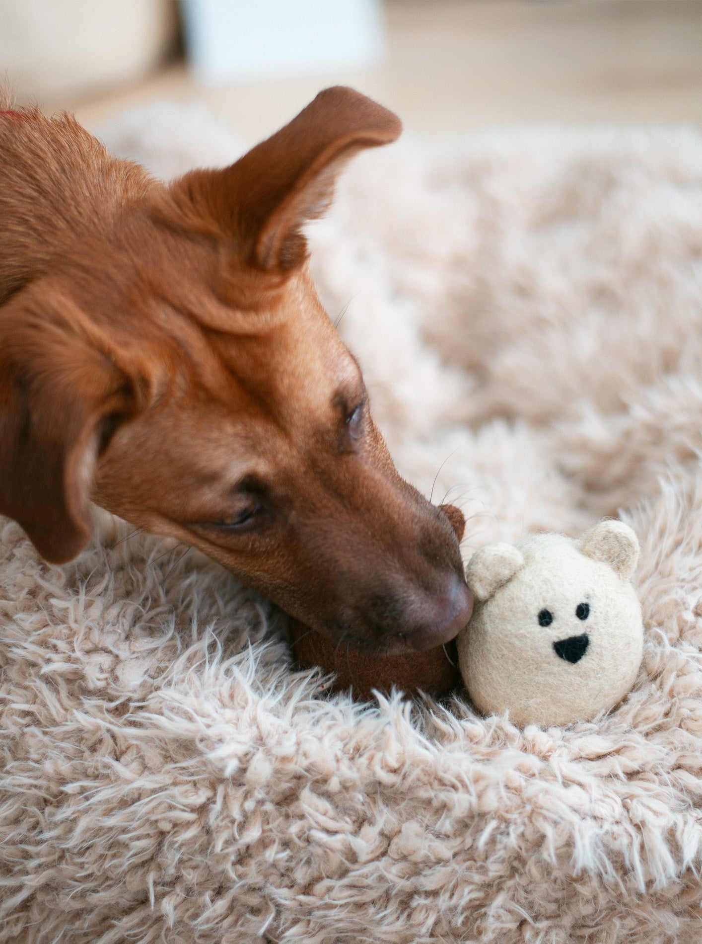BROWN BEAR WOOL DOG TOY