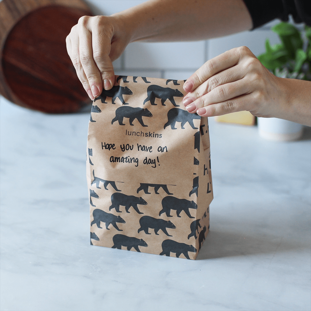 Compostable Paper Lunch Sacs Variety Pack