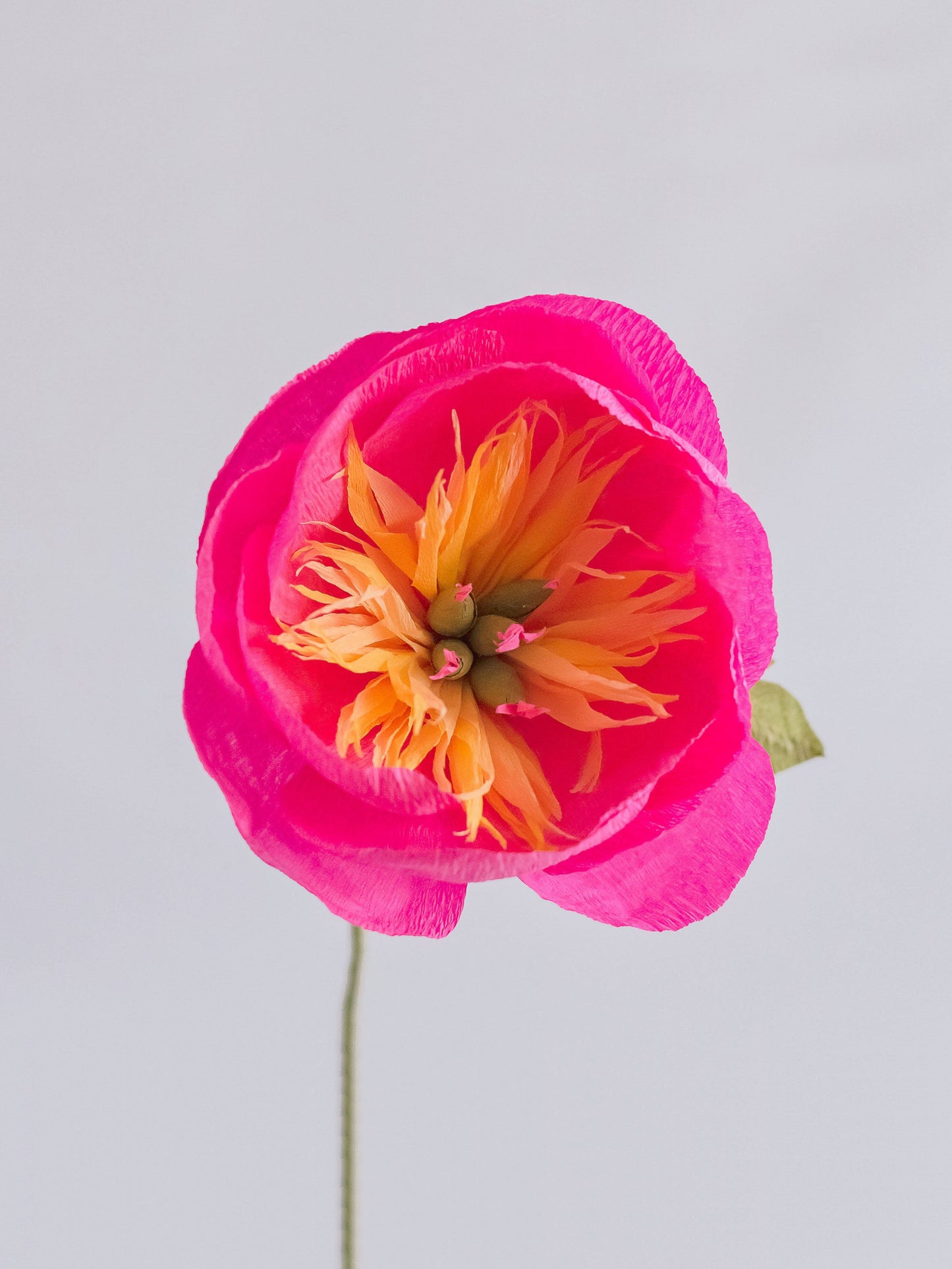 Bowl Peony Single Stem | Handcrafted Paper Flower