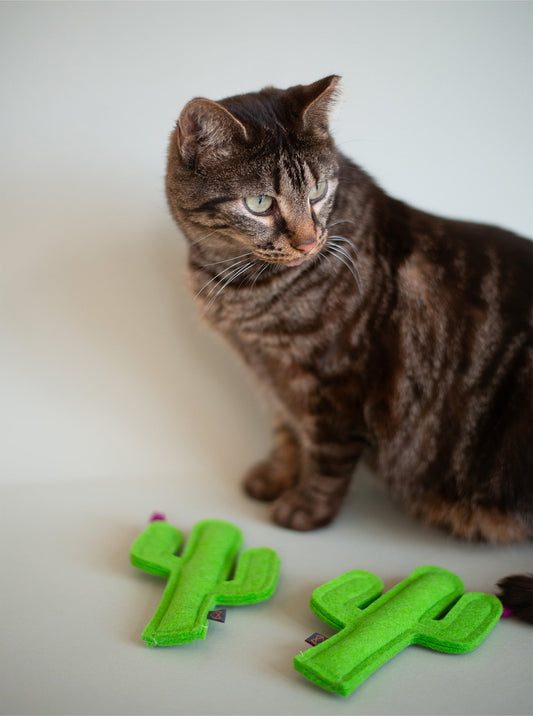 CACTUS CATNIP TOY