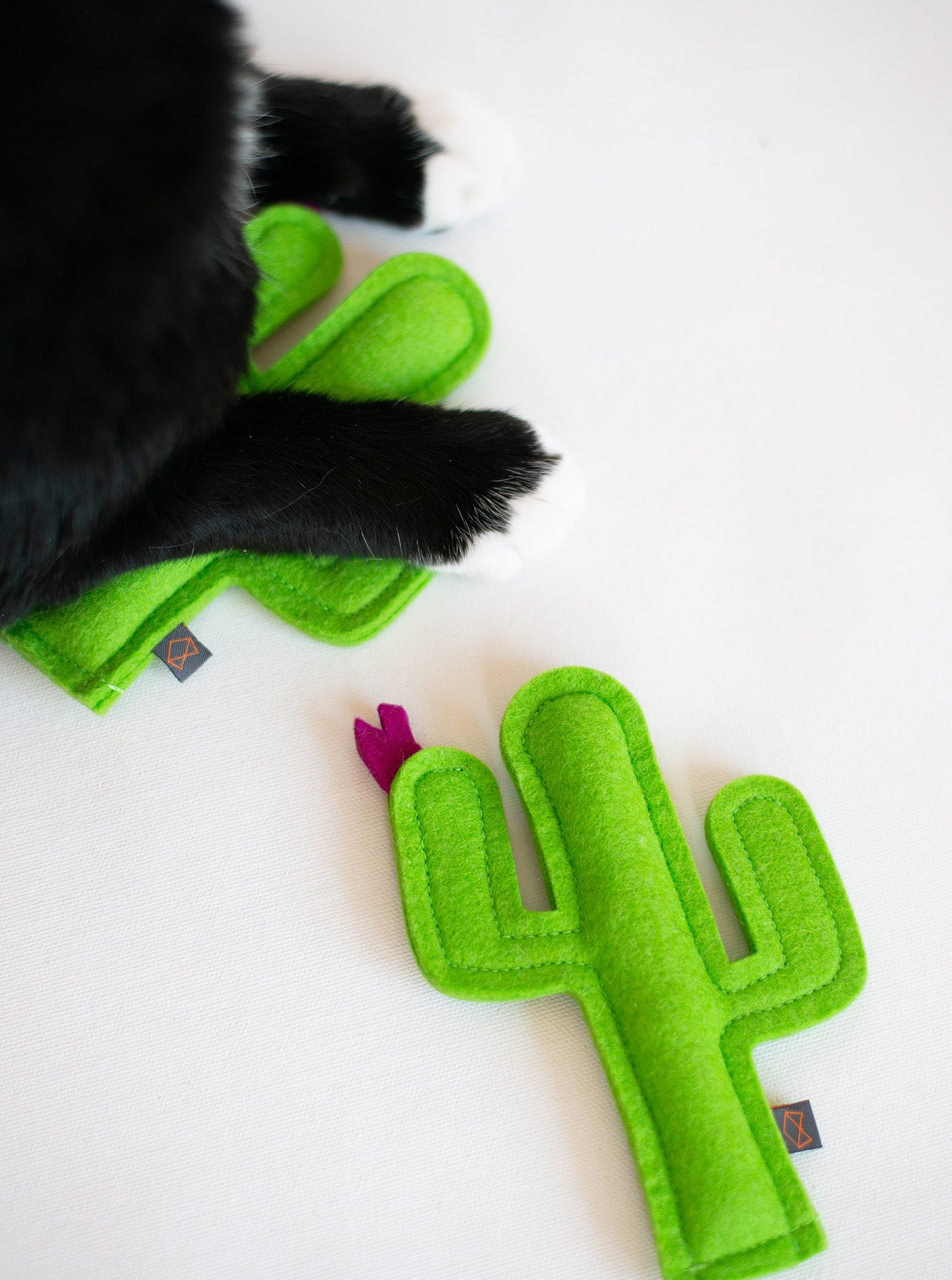 CACTUS CATNIP TOY