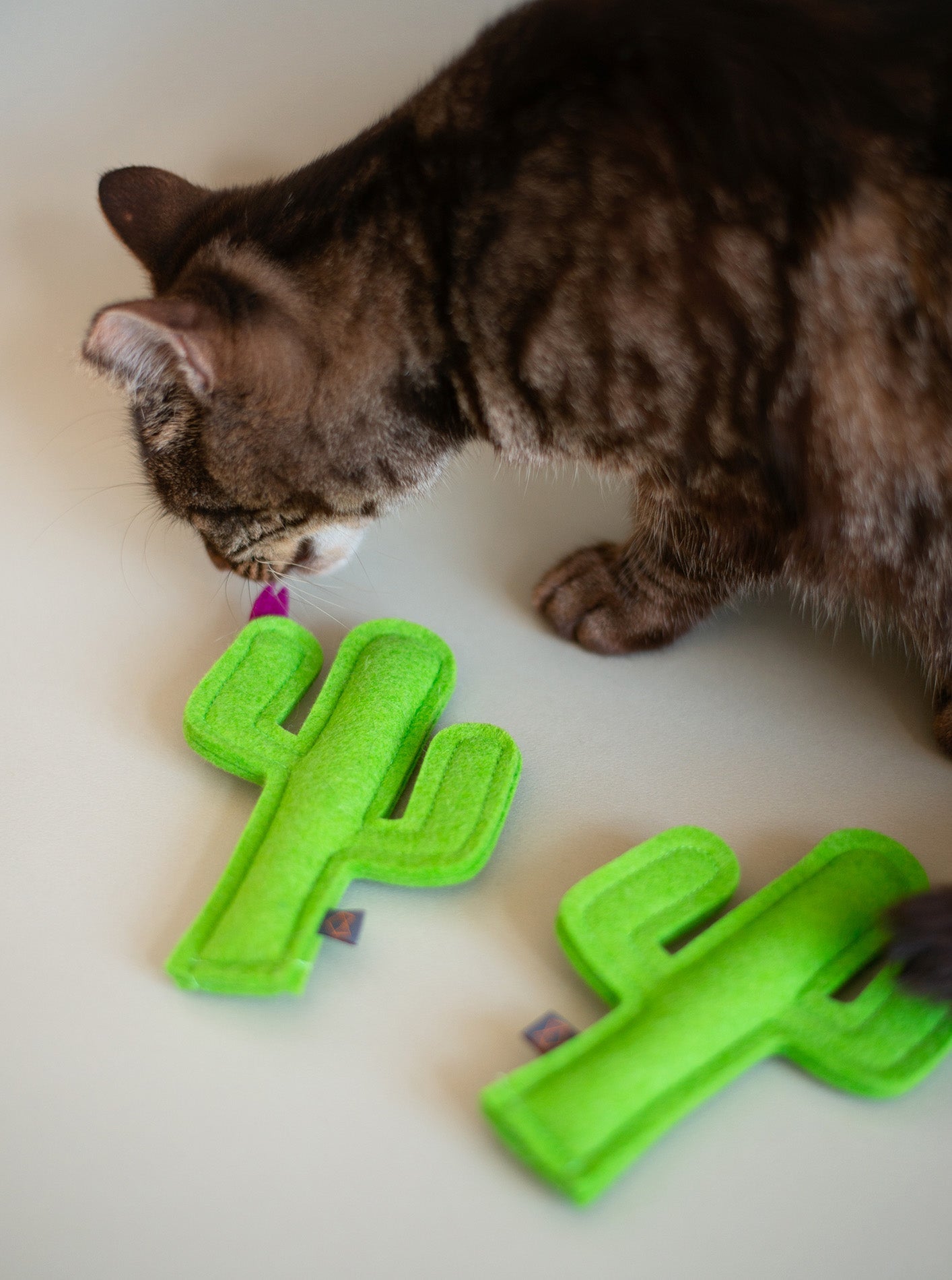 CACTUS CATNIP TOY