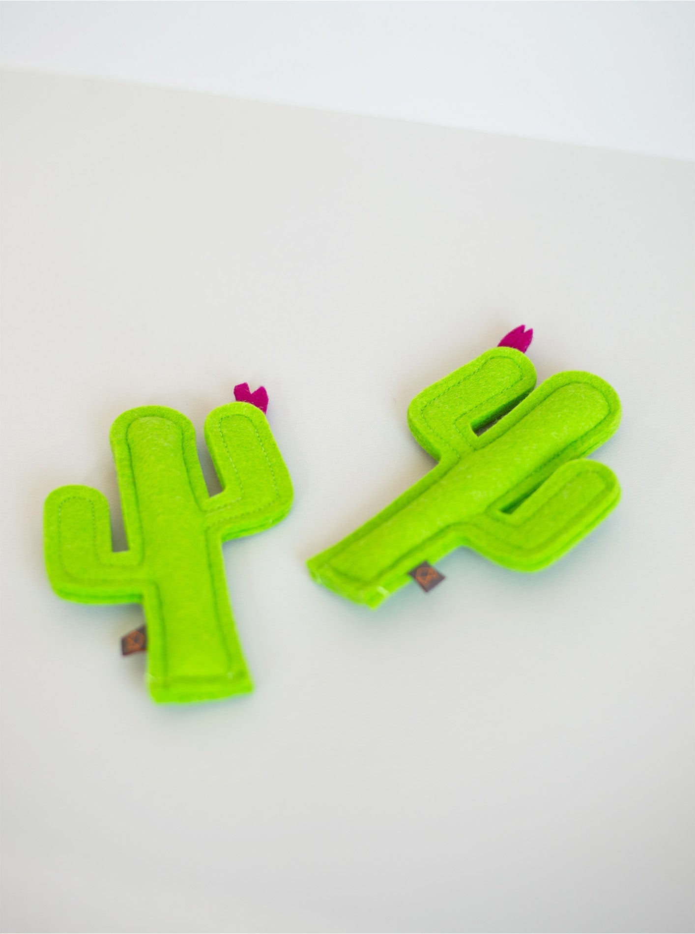 CACTUS CATNIP TOY