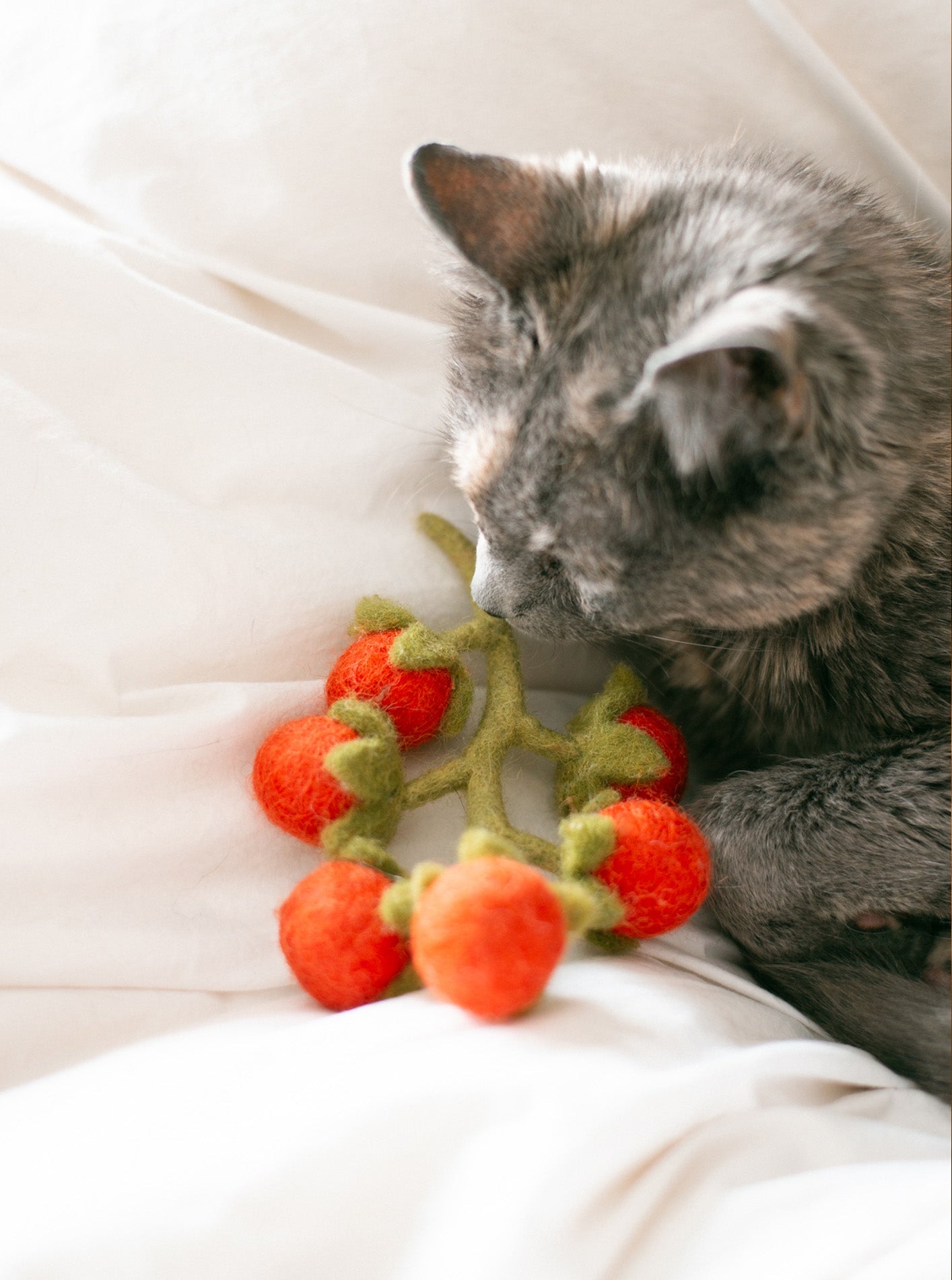 CHERRY TOMATO VINE WOOL DOG & CAT TOY