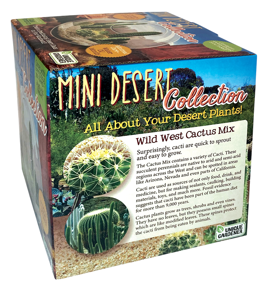 Mini Desert Collection Glass Terrarium Cacti Seed Starting Kit