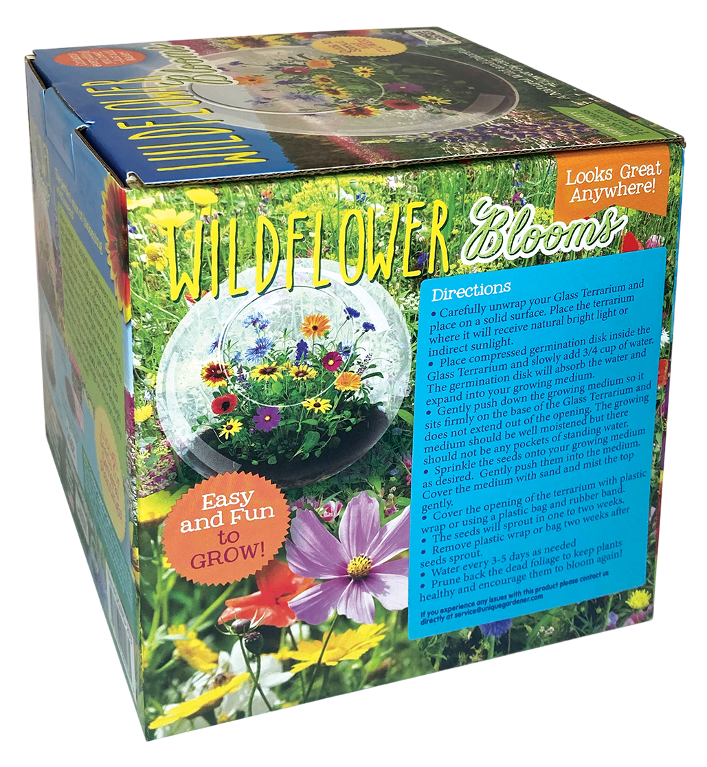 Wildflower Blooms Glass Terrarium Seed Starting Kit