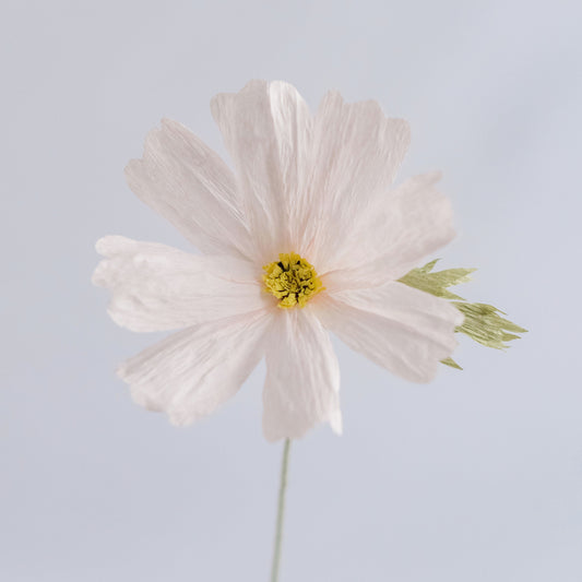 Cosmos Single Stem | Handcrafted Paper Wildflower