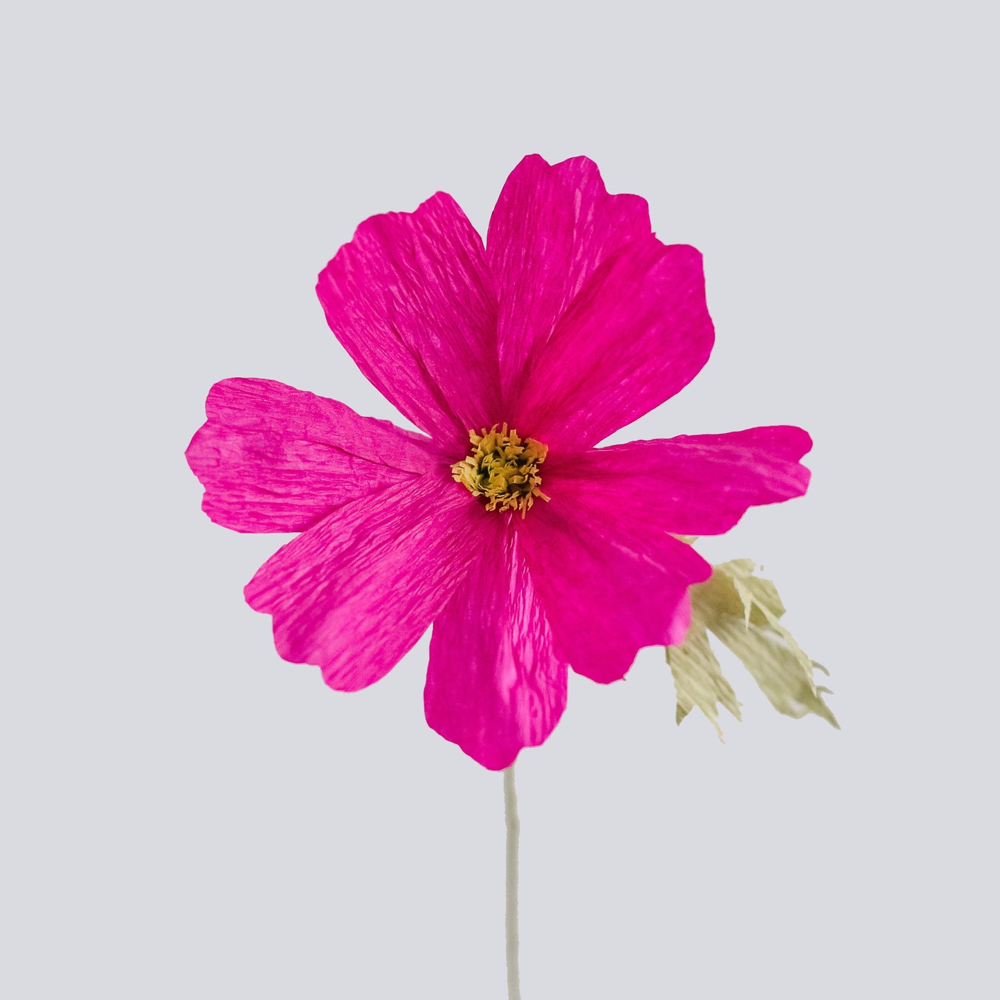 Cosmos Single Stem | Handcrafted Paper Wildflower