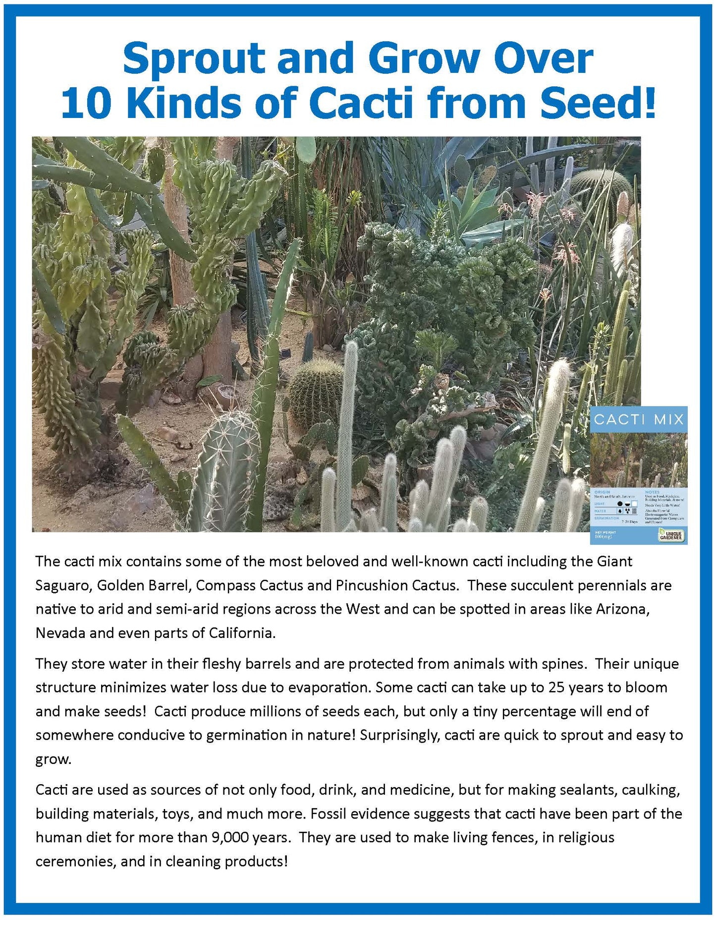 Cacti Collection Glass Terrarium Seed Starting Kit