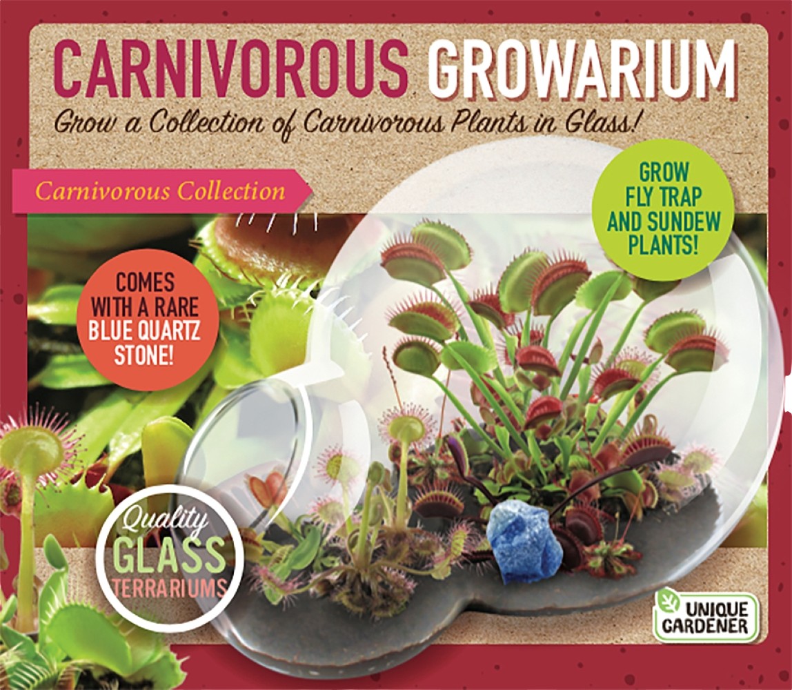 Carnivorous Growarium Meat-Eating Seed Terrarium Kit