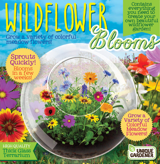 Wildflower Blooms Glass Terrarium Seed Starting Kit