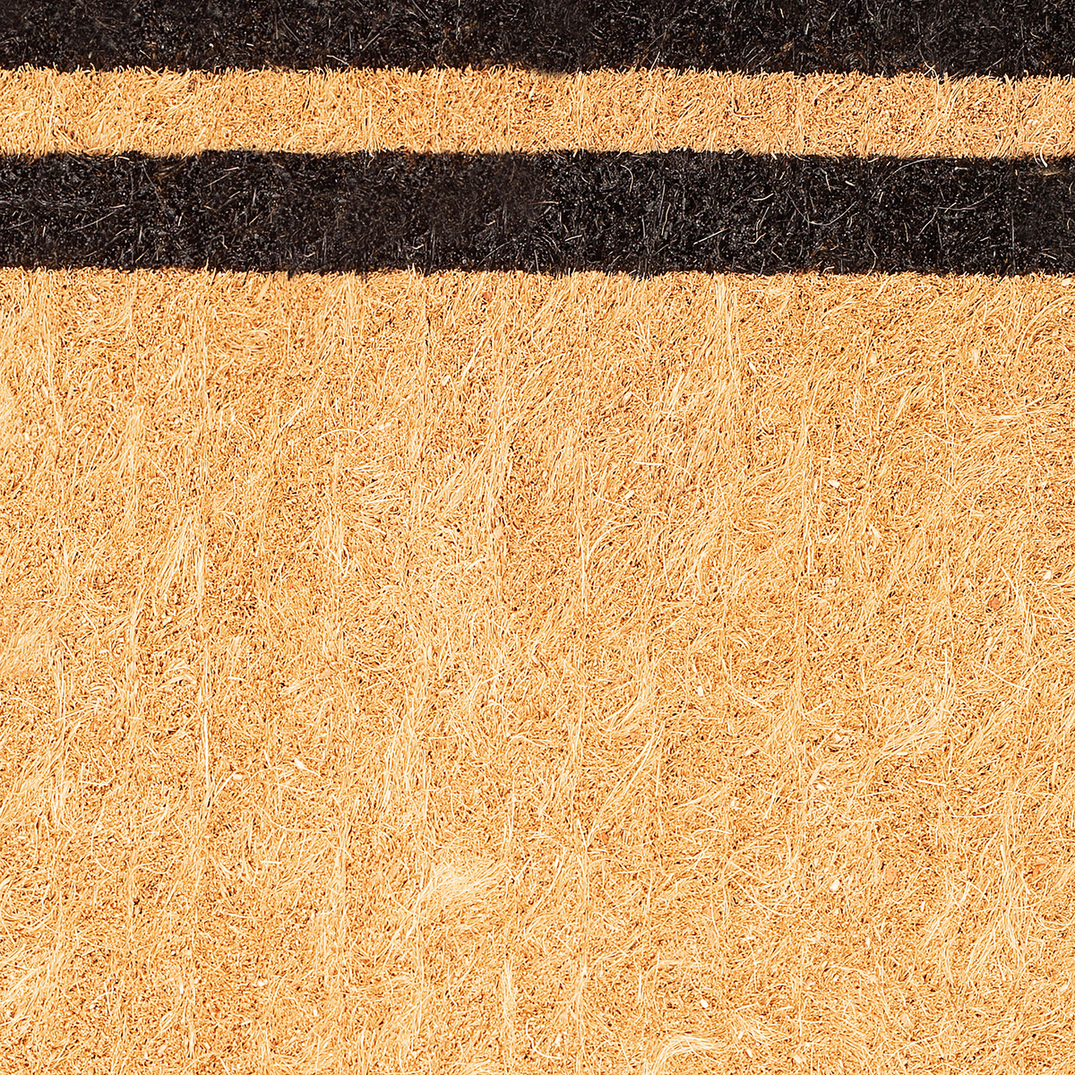 Double Black Border Coir Doormat