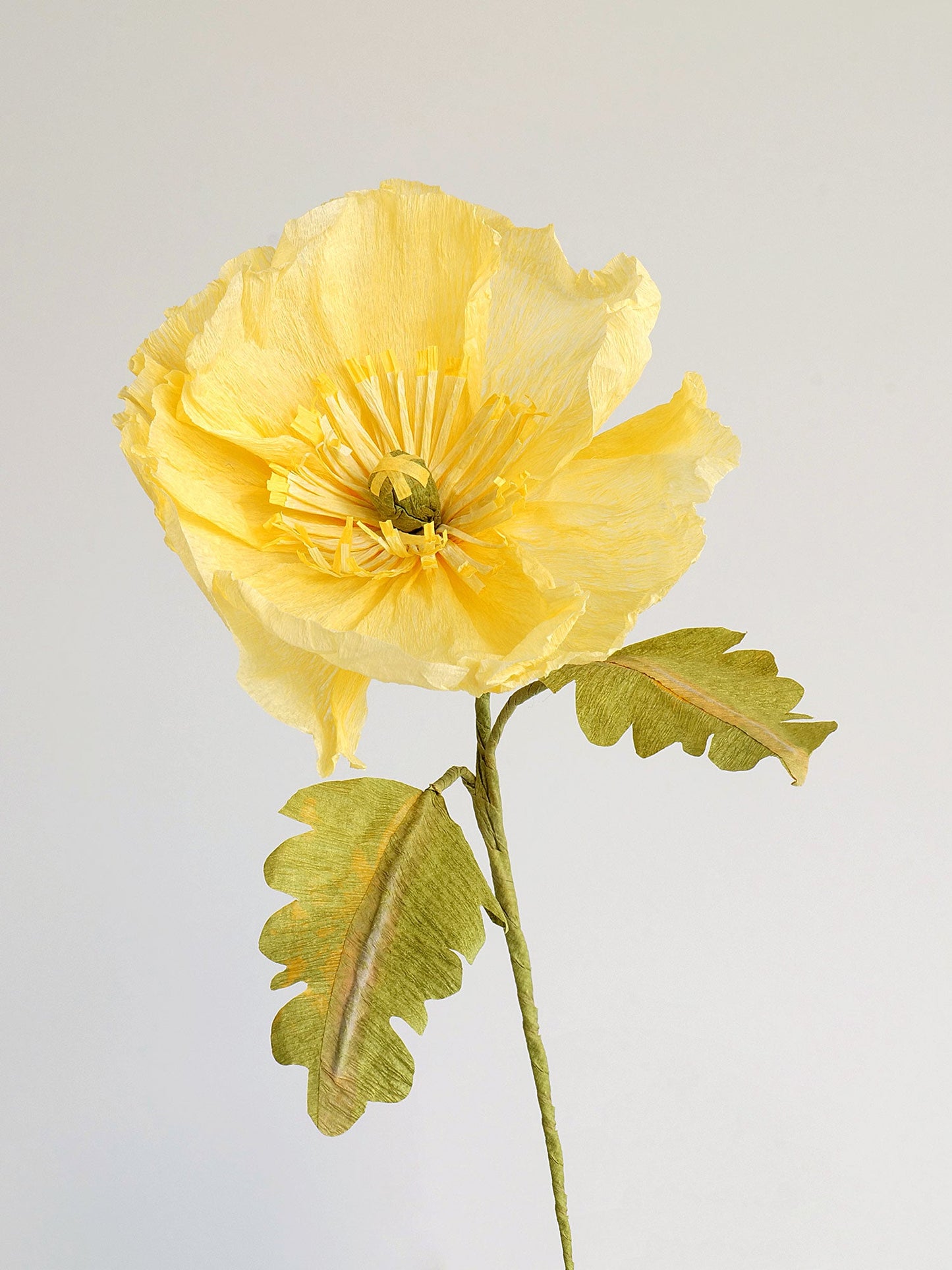 Icelandic Poppy Single Stem | Handcrafted Paper Flower